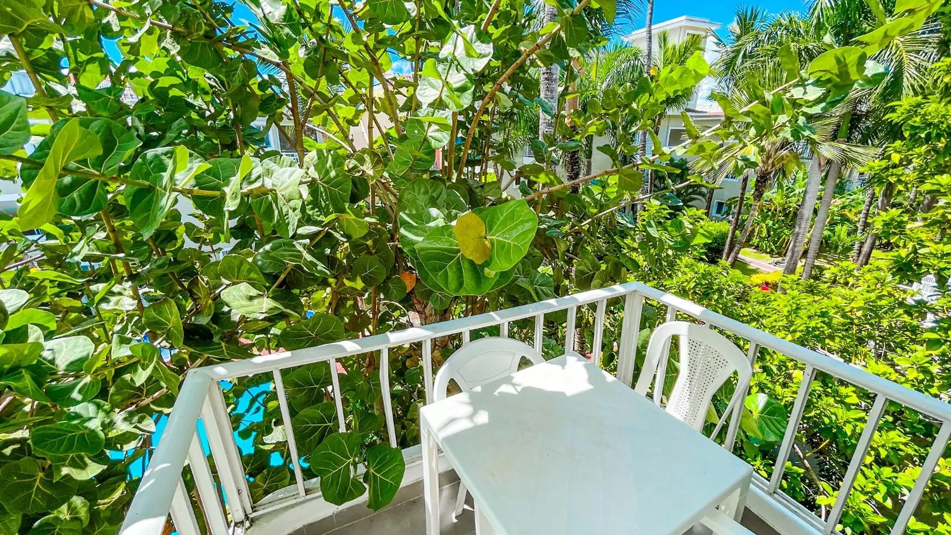 Caribbean Pool Studios Vacation Hotel Wifi Beach Club & Spa بونتا كانا